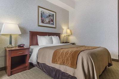 کمفرت این اند سویتز