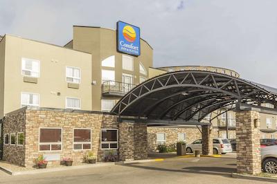 کمفرت این اند سویتز