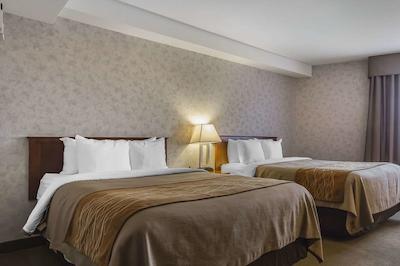 کمفرت این اند سویتز