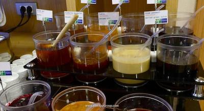 هالیدی این اکسپرس استانبول-التونیزاد