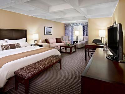 رادیسن هتل ادمنتون اسود