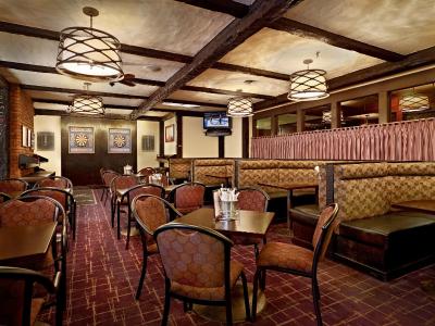 رادیسن هتل ادمنتون اسود