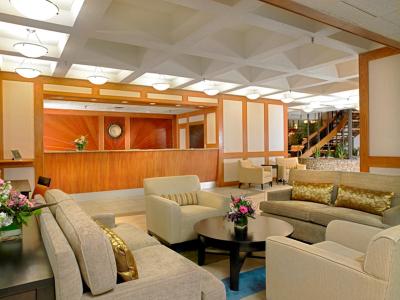 رادیسن هتل ادمنتون اسود