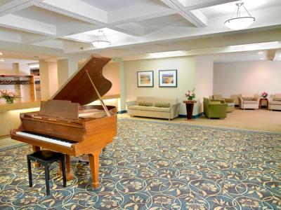 رادیسن هتل ادمنتون اسود