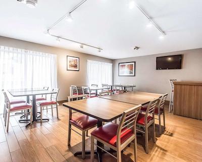 کمفرت این چیکوتیمی