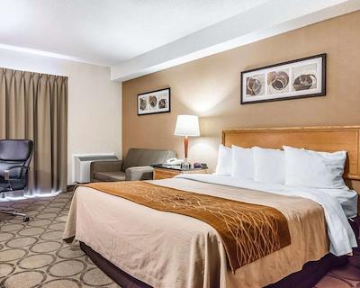 کمفرت این چیکوتیمی