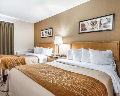 کمفرت این چیکوتیمی