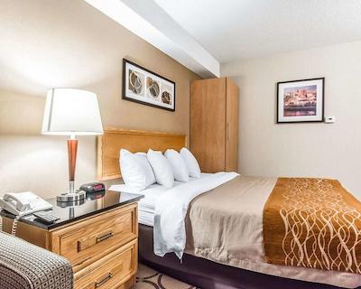 کمفرت این چیکوتیمی