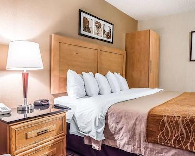 کمفرت این چیکوتیمی