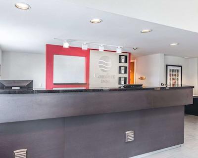 کمفرت این چیکوتیمی