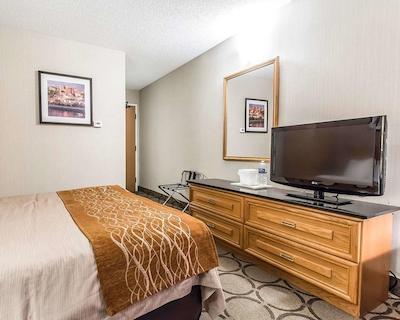 کمفرت این چیکوتیمی