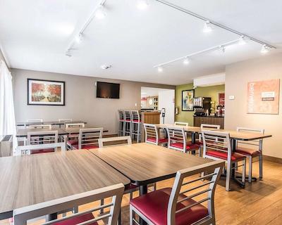 کمفرت این چیکوتیمی