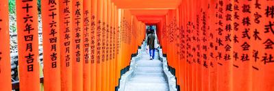 کاپیتل تکیو