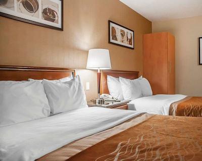 کمفرت این سیمک