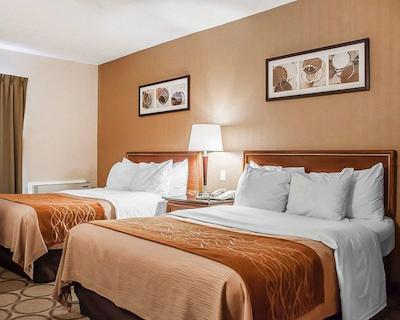 کمفرت این سیمک