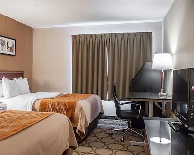 کمفرت این سیمک