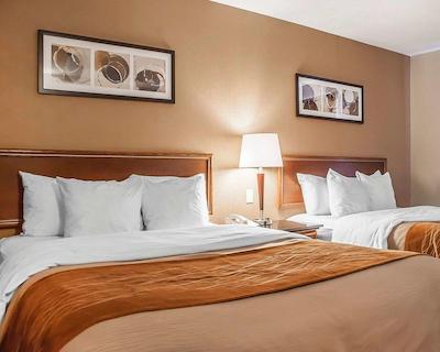 کمفرت این سیمک