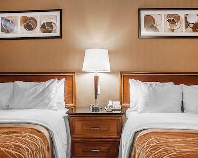 کمفرت این سیمک