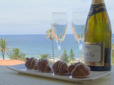 کوگی ب هتل-بوتیک-استیل