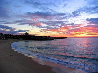 کوگی ب هتل-بوتیک-استیل