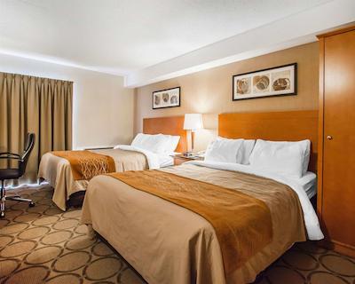 کمفرت این ادموندستون