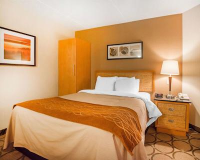 کمفرت این ادموندستون