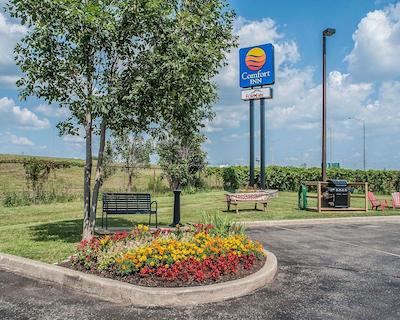 کمفرت این فرت اری