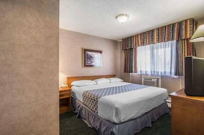 اکنو لج متل ویلیج