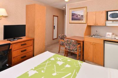 اکنو لج متل ویلیج