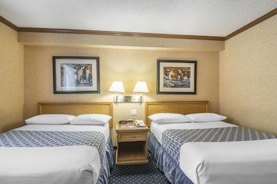 اکنو لج متل ویلیج