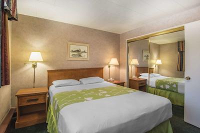 اکنو لج متل ویلیج