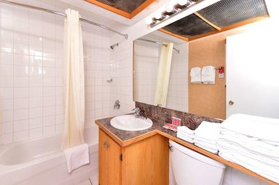 اکنو لج متل ویلیج