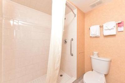 اکنو لج متل ویلیج