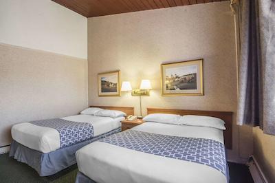 اکنو لج متل ویلیج