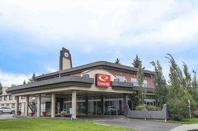 اکنو لج اسود