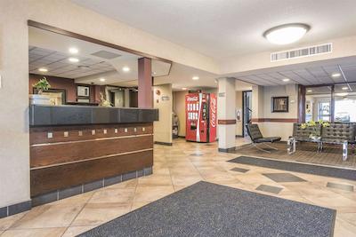 اکنو لج اسود