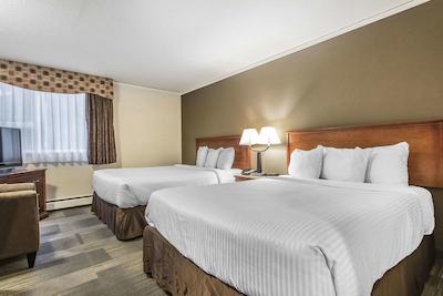 اکنو لج اسود