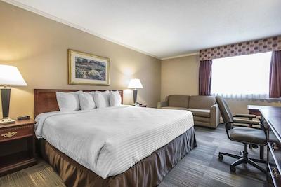 اکنو لج اسود