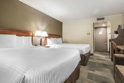 اکنو لج اسود