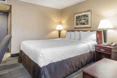 اکنو لج اسود