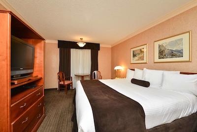 اکنو لج اسود