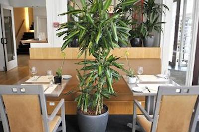 هتل لین در هاارلم