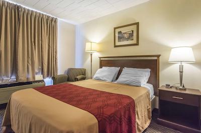 اکنو لج اُریلیا