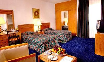 گلدن تولیپ دالما سوئیتس