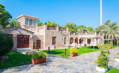 گلدن تولیپ دالما سوئیتس