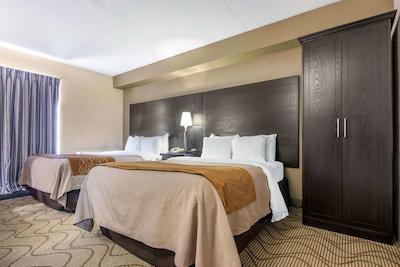 کمفرت این نرد ب