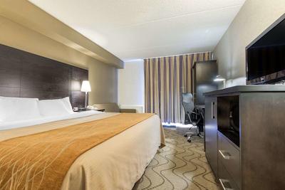 کمفرت این نرد ب