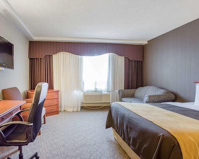 کمفرت این ترنتو آیرپرت