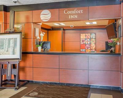 کمفرت این ترنتو آیرپرت