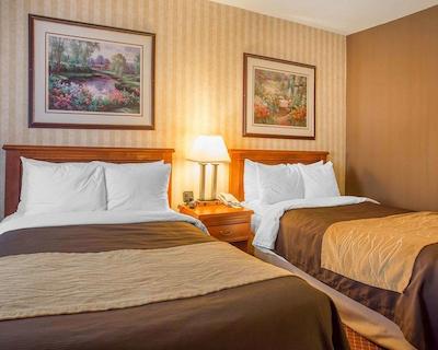 کمفرت این ترنتو آیرپرت